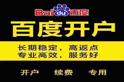 SEM托管案例分析：品牌如何快速崛起